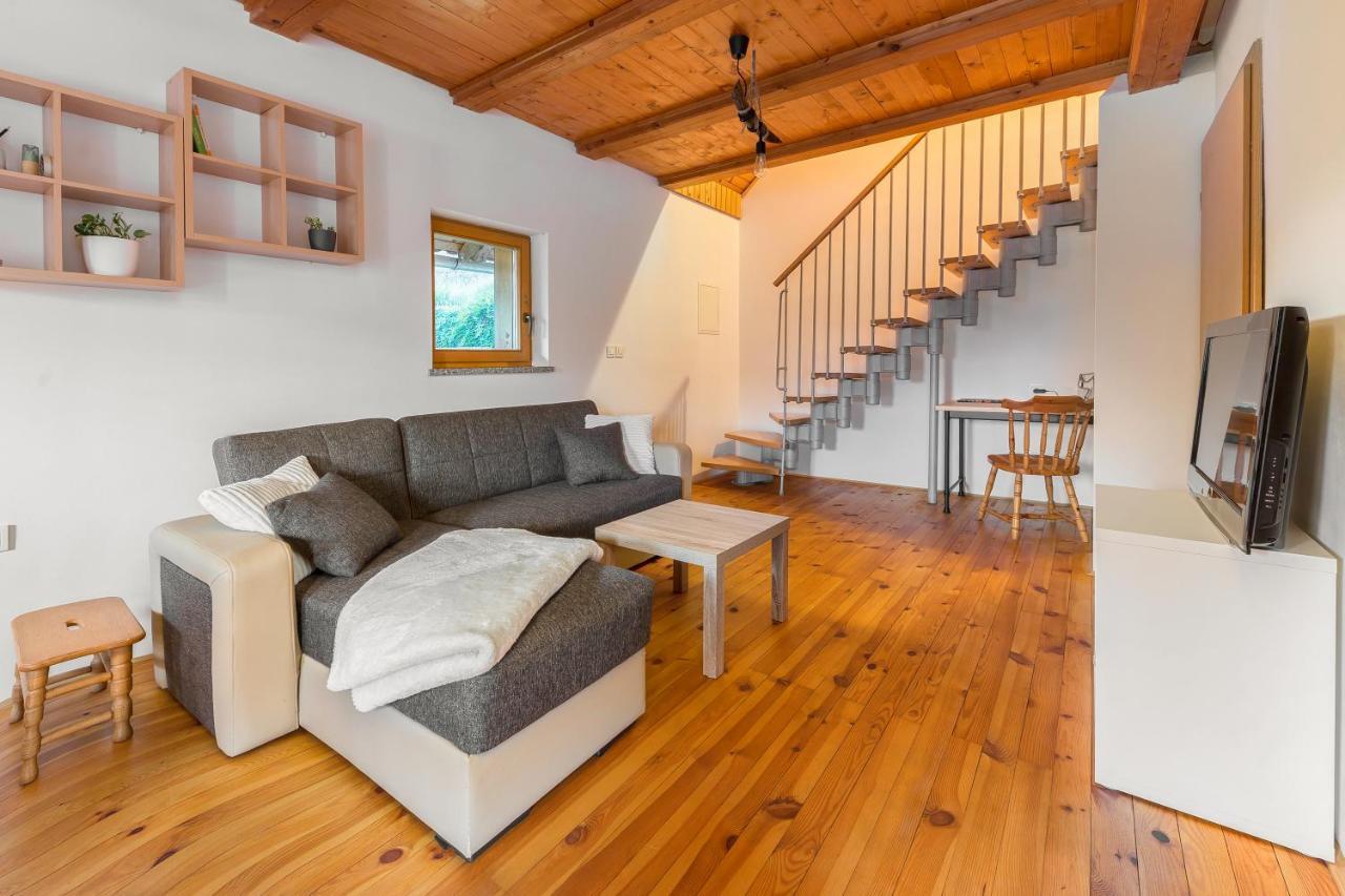 Svisla Apartman Kranj városi község Kültér fotó